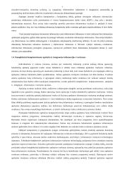 Apskaitos kompiuterizavimas 7 puslapis