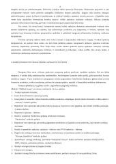 Apskaitos kompiuterizavimas 8 puslapis