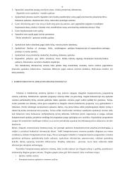 Apskaitos kompiuterizavimas 9 puslapis