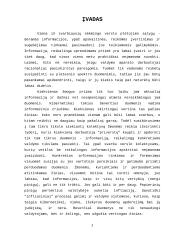 Apskaitos organizavimas skirtingų tipų įmonėse 2 puslapis