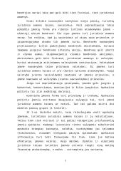 Apskaitos organizavimas skirtingų tipų įmonėse 4 puslapis