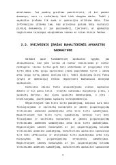 Apskaitos organizavimas skirtingų tipų įmonėse 7 puslapis