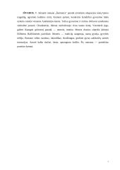 Vandos Juknaitės biografija 7 puslapis