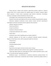 Apskaitos organizavimas įmonėje 12 puslapis