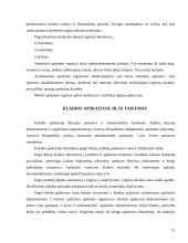 Apskaitos organizavimas įmonėje 13 puslapis