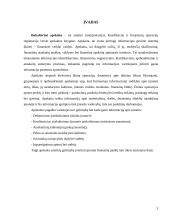 Apskaitos organizavimas įmonėje 3 puslapis