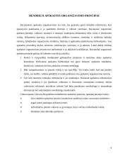 Apskaitos organizavimas įmonėje 4 puslapis