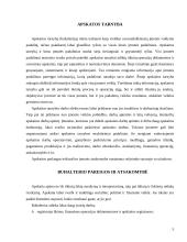 Apskaitos organizavimas įmonėje 5 puslapis