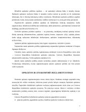 Apskaitos organizavimas įmonėje 7 puslapis