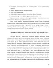 Apskaitos organizavimas įmonėje 10 puslapis