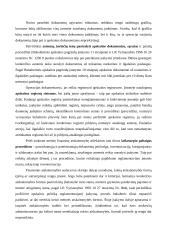 Apskaitos politika 11 puslapis