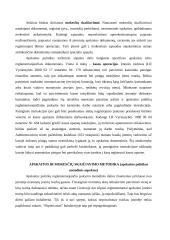 Apskaitos politika 12 puslapis