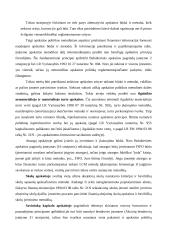 Apskaitos politika 13 puslapis