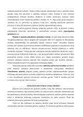 Apskaitos politika 14 puslapis