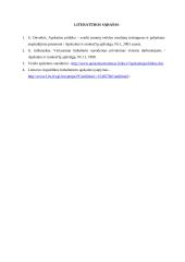 Apskaitos politika 19 puslapis