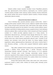 Apskaitos politika 3 puslapis