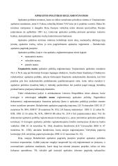 Apskaitos politika 4 puslapis