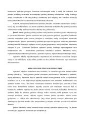 Apskaitos politika 5 puslapis