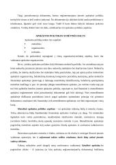 Apskaitos politika 6 puslapis