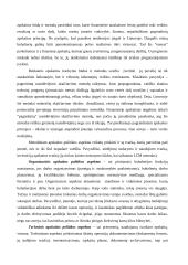 Apskaitos politika 7 puslapis