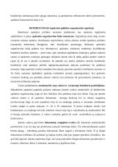 Apskaitos politika 8 puslapis