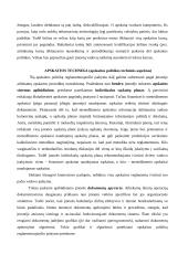 Apskaitos politika 10 puslapis