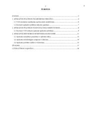 Apskaitos politikos pagrindiniai bruožai ir susidariusios rengimo problemos įgyvendinimo pradžioje 2 puslapis