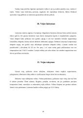 Vejos įrengimas ir sutvarkymas individualioje sodyboje 19 puslapis