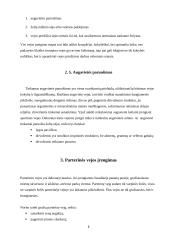 Vejos įrengimas ir sutvarkymas individualioje sodyboje 7 puslapis