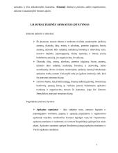 Apskaitos politikos reglamentavimas 7 puslapis