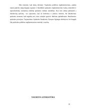 Apskaitos politikos reglamentavimas 10 puslapis