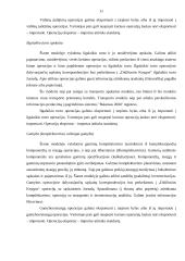 Apskaitos programa "Balansas" 11 puslapis