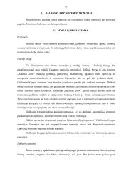 Apskaitos programa "Balansas" 7 puslapis