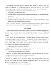 Verslą ribojantys veiksniai 11 puslapis