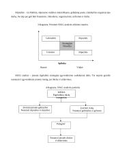 Verslą ribojantys veiksniai 12 puslapis