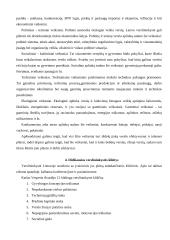 Verslą ribojantys veiksniai 6 puslapis