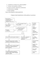 Verslą ribojantys veiksniai 7 puslapis