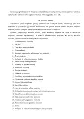 Verslą ribojantys veiksniai 8 puslapis