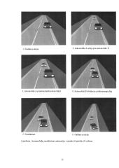 Ar animacija gali būti saugiai naudojama teisme? 11 puslapis