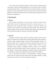 Ar animacija gali būti saugiai naudojama teisme? 7 puslapis