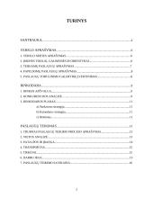 Verslo planas: kirpykla "Mansi" 2 puslapis