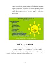 Verslo planas: kirpykla "Mansi" 12 puslapis