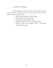 Verslo planas: kirpykla "Mansi" 19 puslapis