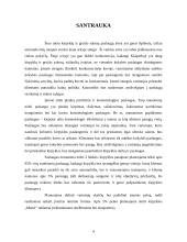 Verslo planas: kirpykla "Mansi" 4 puslapis