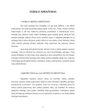 Verslo planas: kirpykla "Mansi" 6 puslapis