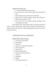 Verslo planas: kirpykla "Mansi" 7 puslapis