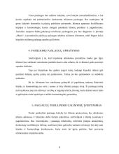 Verslo planas: kirpykla "Mansi" 8 puslapis