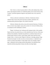 Viskas apie arklius 13 puslapis