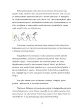 Viskas apie arklius 15 puslapis