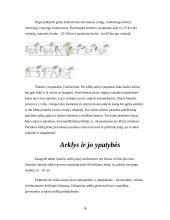 Viskas apie arklius 16 puslapis